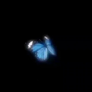 ، ᥣᥱt ძ᥆ᥕᥒ .