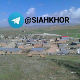 🌟سیاه خور🌟