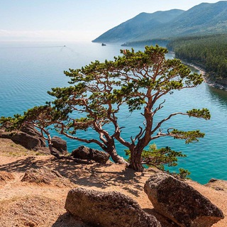 @siberia_life38