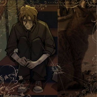 @SilentCat92