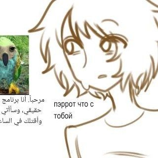 @simchezs