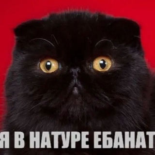 @sisisicilianke
