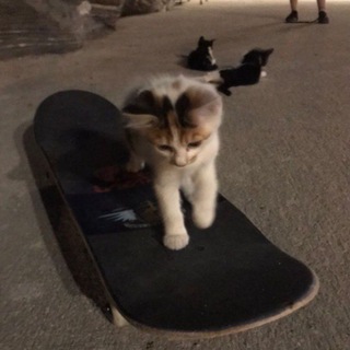 @skateboardwho