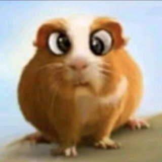 @sklard68