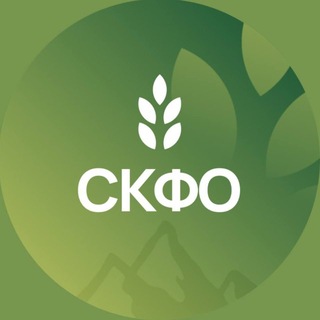 @sksskfo
