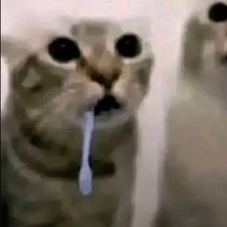 @Sky_XE3E