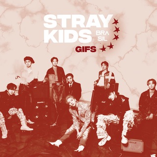 STRAY KIDS GIFS