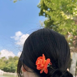 @sl_s91