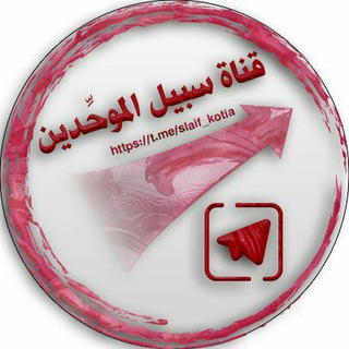 @slaif_kotia