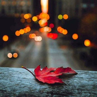 ( ماڵی عاریفان 