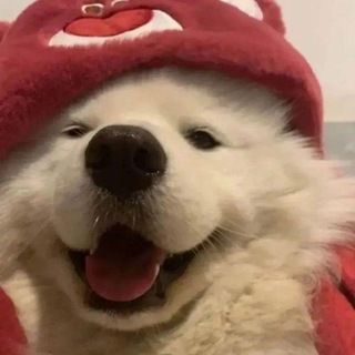 @snow_4ik