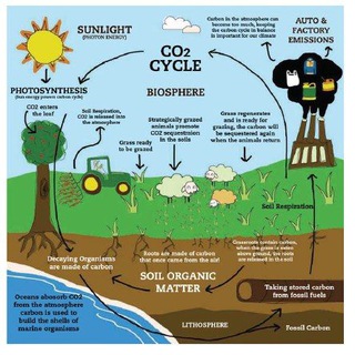 Soil & Water Modeling