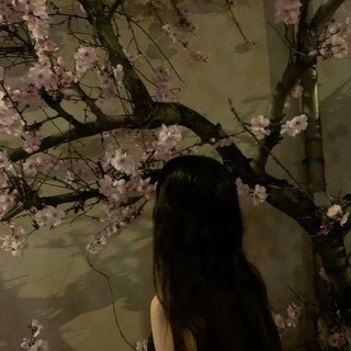 @soniqzwx