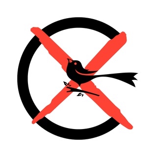 Сорокин хвост