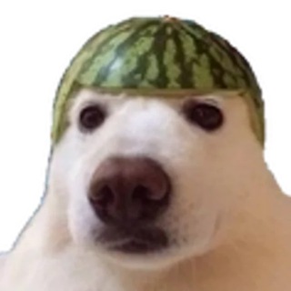 @Sovaaaaaaaa