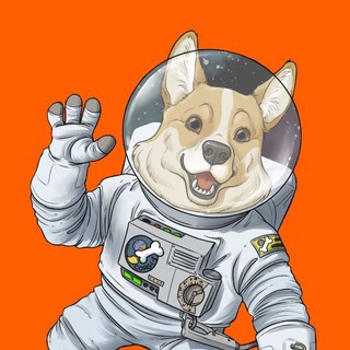 @spacecorgiannouncements