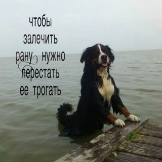 @spring_ever