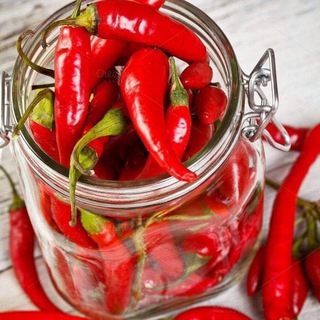 فلفل 🌶🌶.