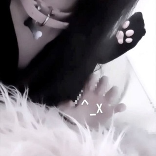 @spzlw