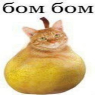 @ssania_0