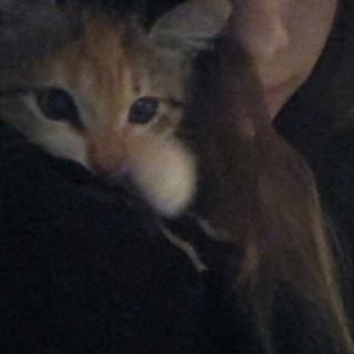 @sswuwq