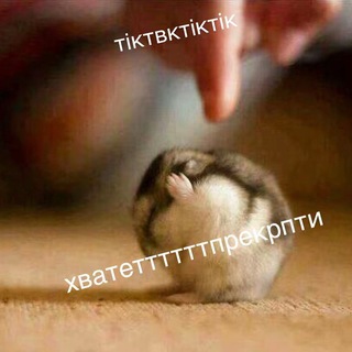 @stasikwz