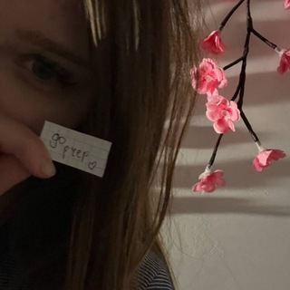 @stegsode