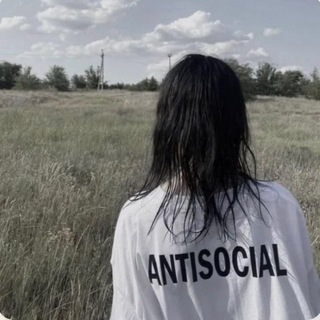 @stheg