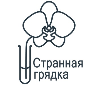 @strange_bed_flowers