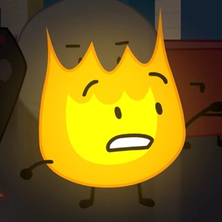 @stupidfirey