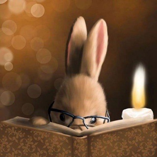 @sunnybunny_hm