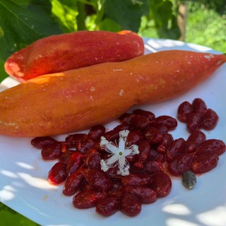 Экзотика в огороде 🍓