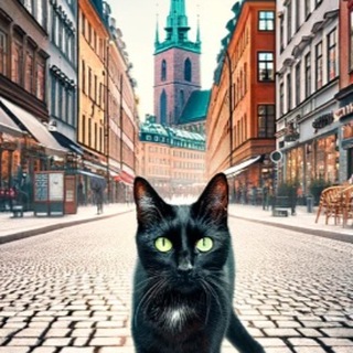 @sweden_plus