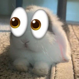 @syrnikcool