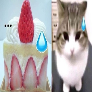 @T0chKa457