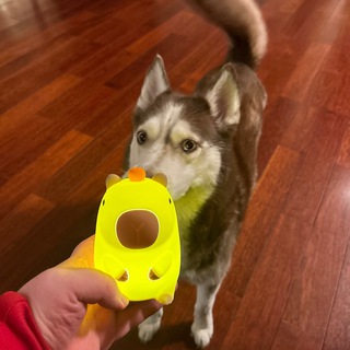 @t2xtwitch
