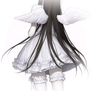 @t3qshgr