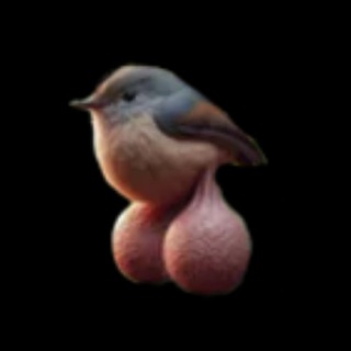 @T_E_M