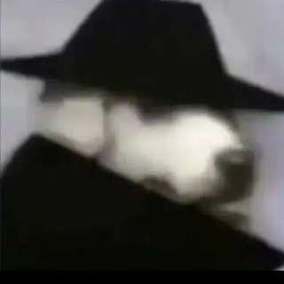 @t_t2c