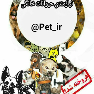 @tablighat_pet