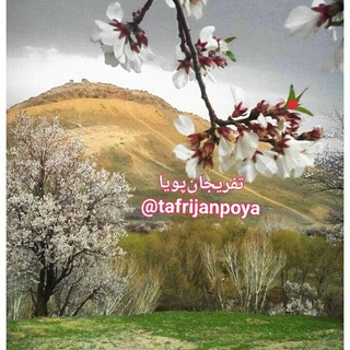 کانال تفریجان پویا