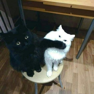 @takhdir