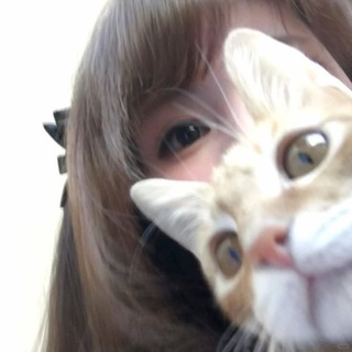 @taomein