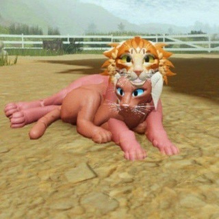 @Tap0hek