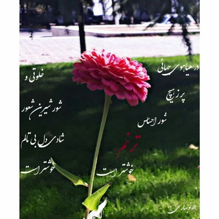🍁 تـــــــــــــرنــــــم 🍁
