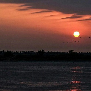 @tawfiq_alnassari