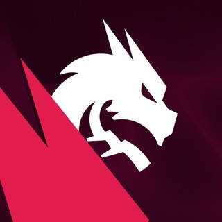 @Team_Spirit_Official