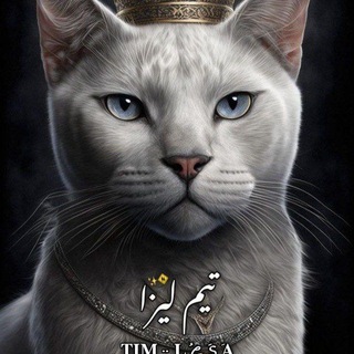 @Teem_Lesa