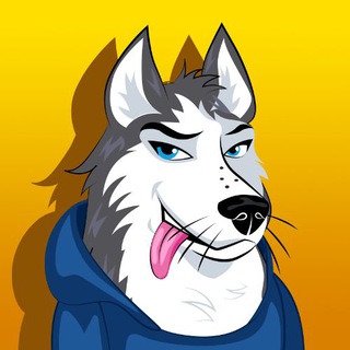 💎 Farm and Earn TON Coin