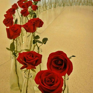 @tehran_on_line